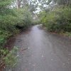 Remains of the raceway at Catalina Park, Katoomba. Its construction meant the end of the Aboriginal settlement